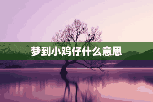 梦到小鸡仔什么意思(孕妇梦到小鸡仔什么意思)